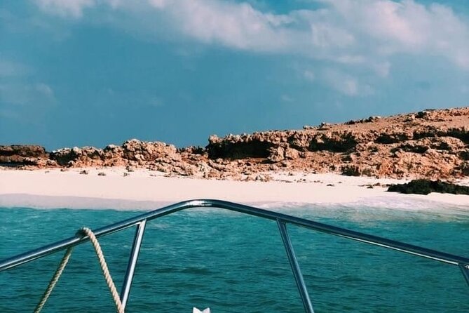 Daymaniyat Islands Snorkeling Half-Day Tour - The $200 price and what you receive