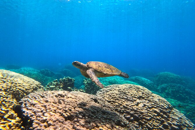 Daymaniyat Islands Snorkeling Sharing Trip - The ride toward the Daymaniyat Islands
