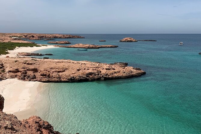 Daymaniyat Islands Snorkeling Sharing Trip - How the $106 price measures up