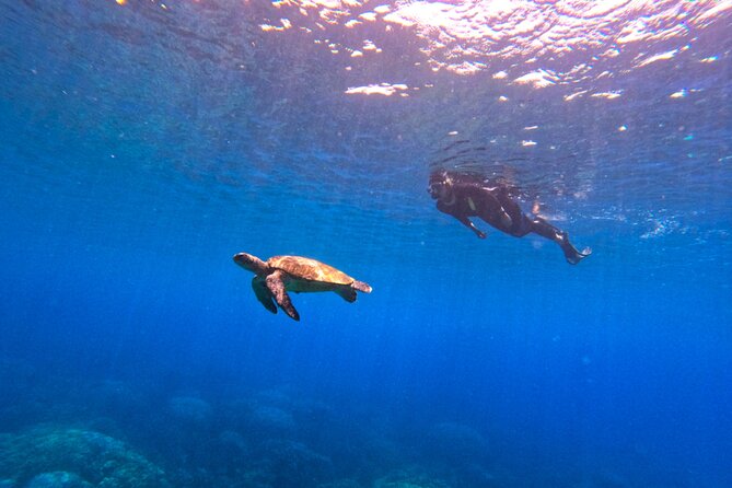 Daymaniyat Islands Snorkeling Sharing Trip - What the crew does well