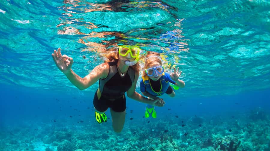 Daymaniyat Islands Snorkeling Small Group Turtles - Key things to know before you book