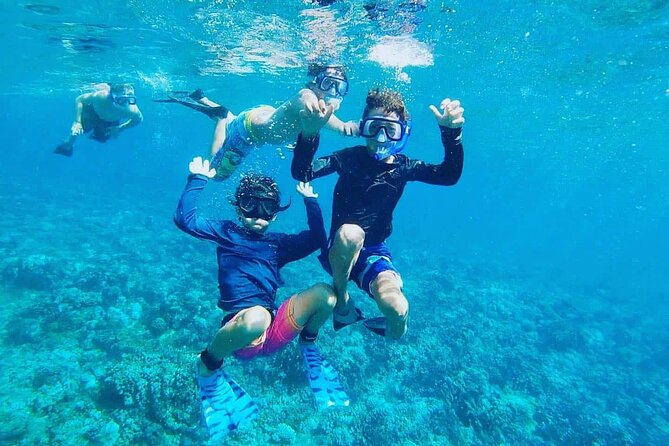Daymaniyat Islands Snorkeling Tour - Leaving Al Mouj Muscat at 8:30 am