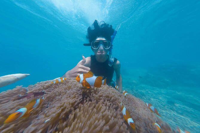 Daymaniyat Islands Snorkeling Tour - Island time, swimming, and a possible beach walk