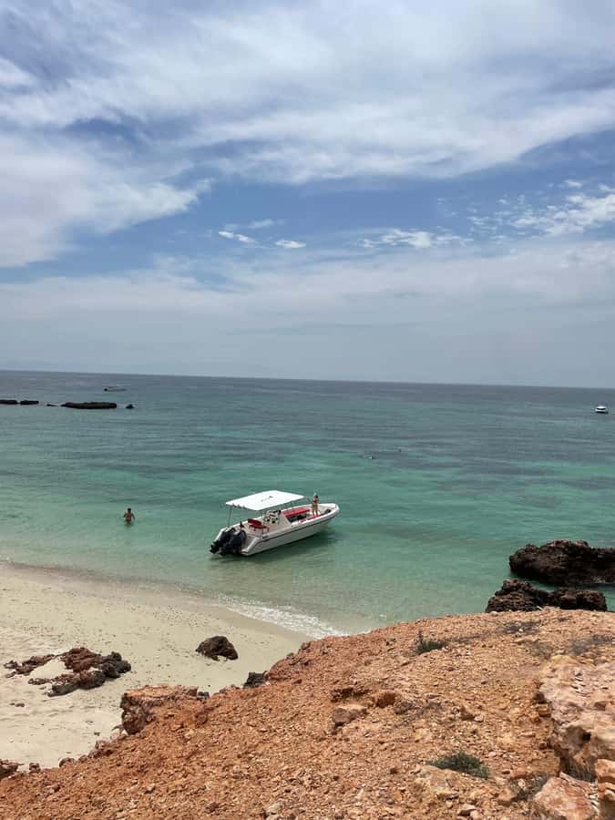 Daymaniyat Islands Snorkeling with GoPro - Key points to know before you book
