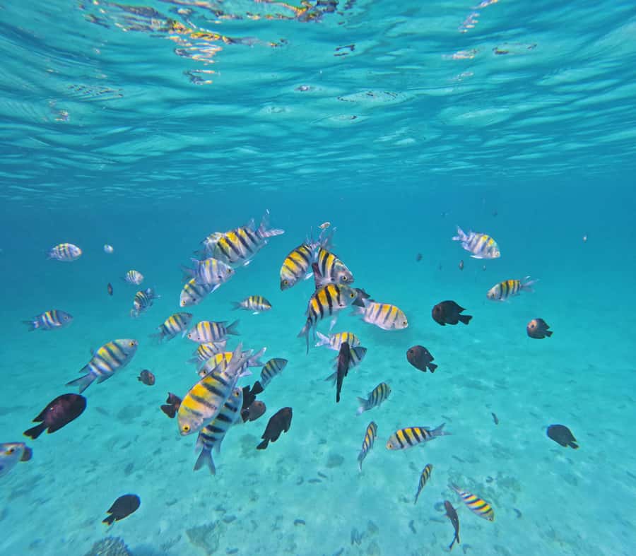 Daymaniyat Islands Snorkeling with GoPro - Leaving Seeb Port for the Daymaniyat Islands