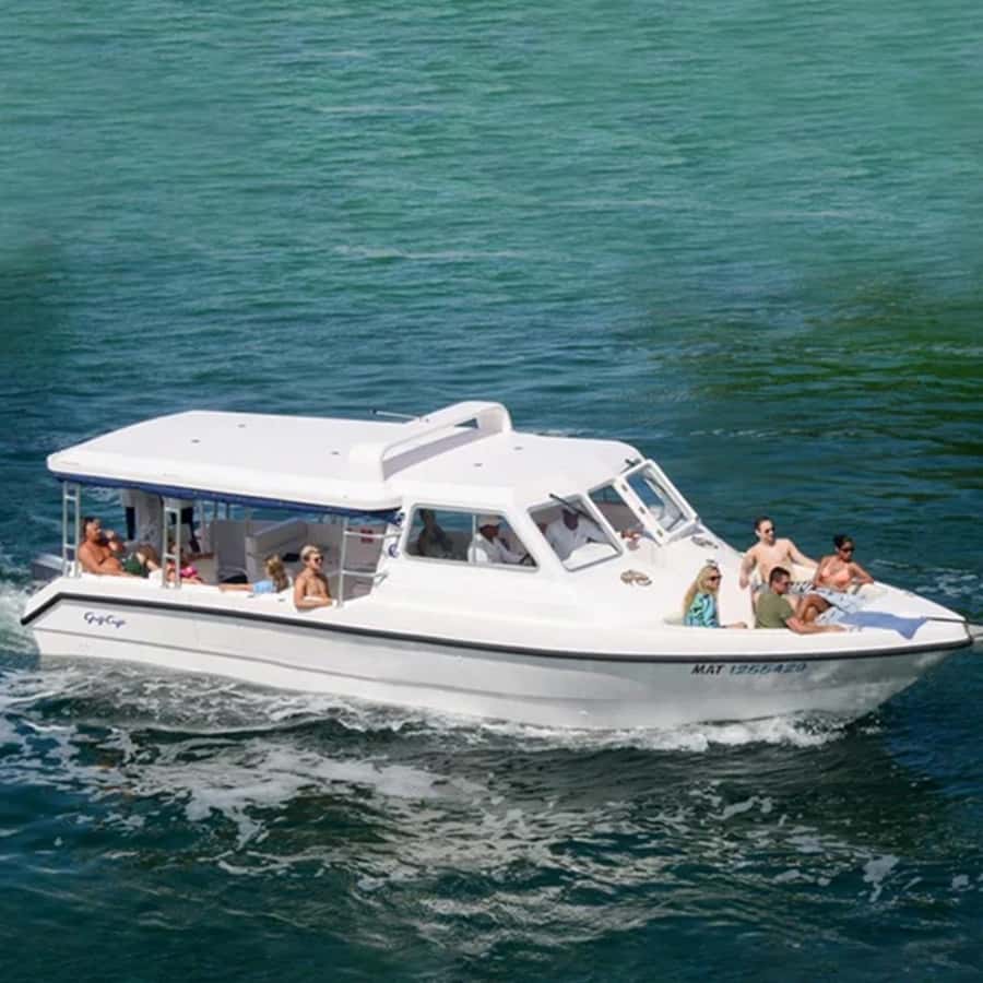 Daymaniyat Islands Snorkeling with Picnic Lunch - Five things to know before booking