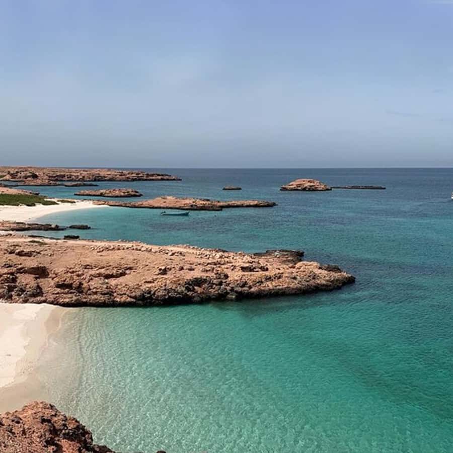 Daymaniyat Islands Snorkeling with Picnic Lunch - Coral Garden, fish, and a second water session