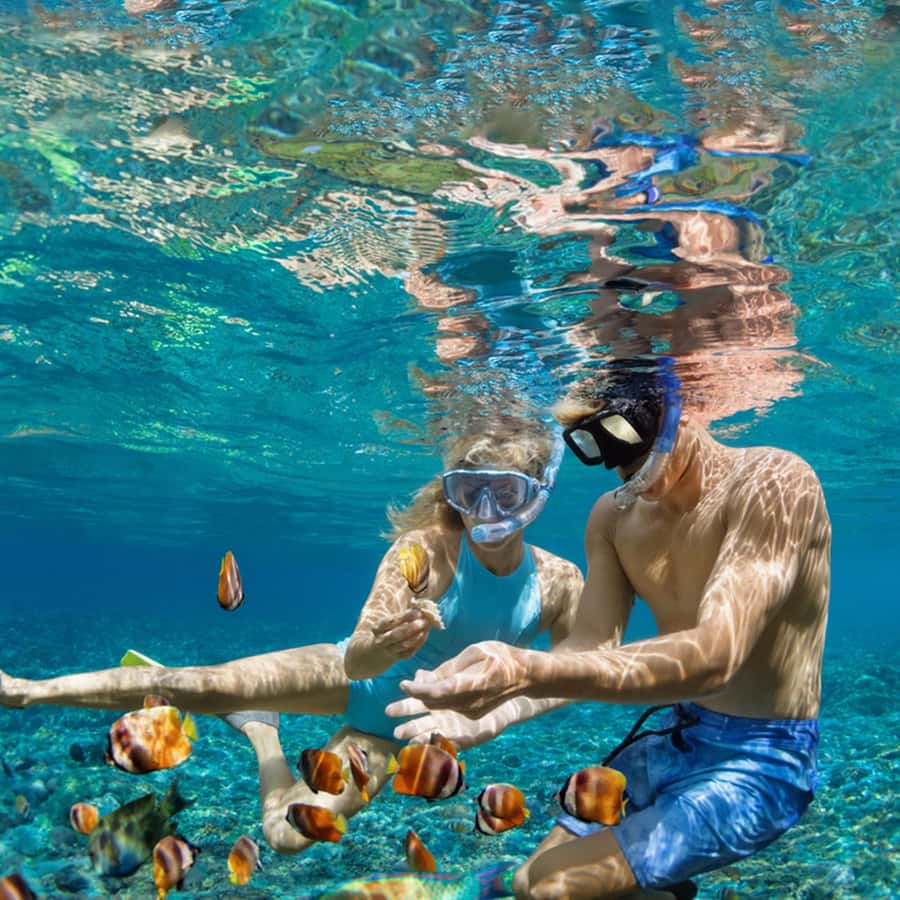Daymaniyat Islands Snorkeling with Picnic Lunch - Island walks and a change of pace