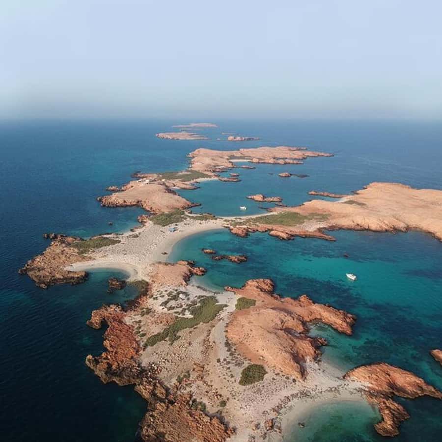 Daymaniyat Islands Snorkeling with Picnic Lunch - Picnic lunch, fruit, and simple comforts