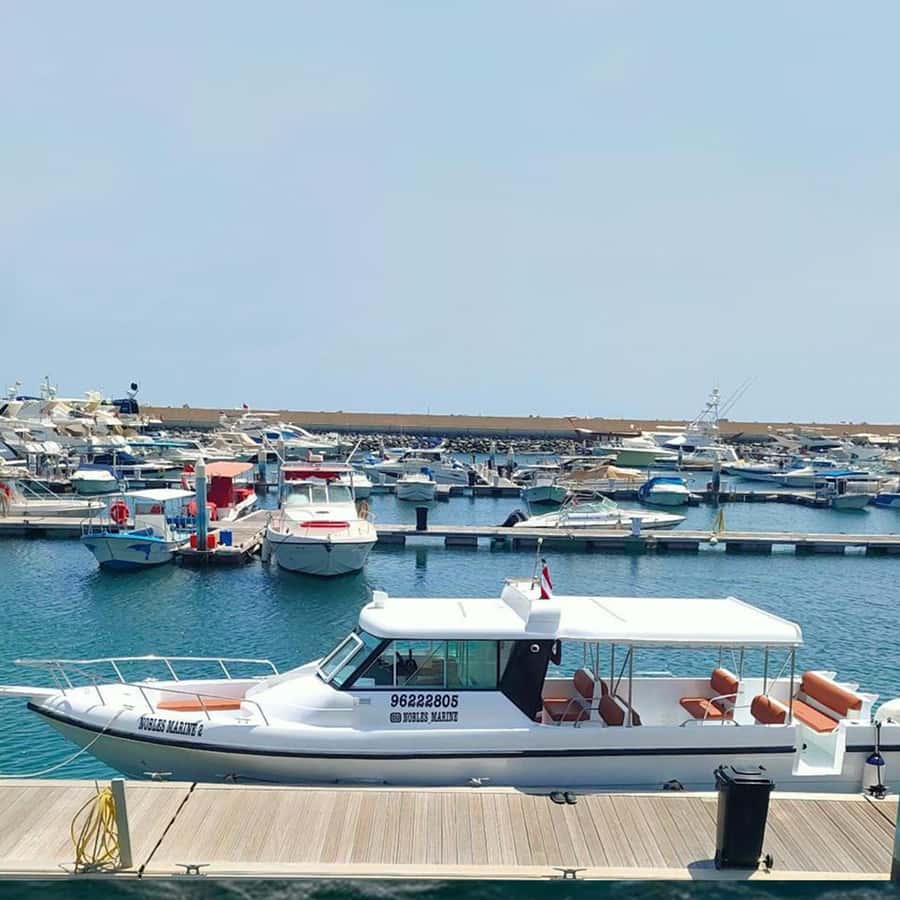 Daymaniyat Islands Snorkeling with Picnic Lunch - What the $71 price really covers