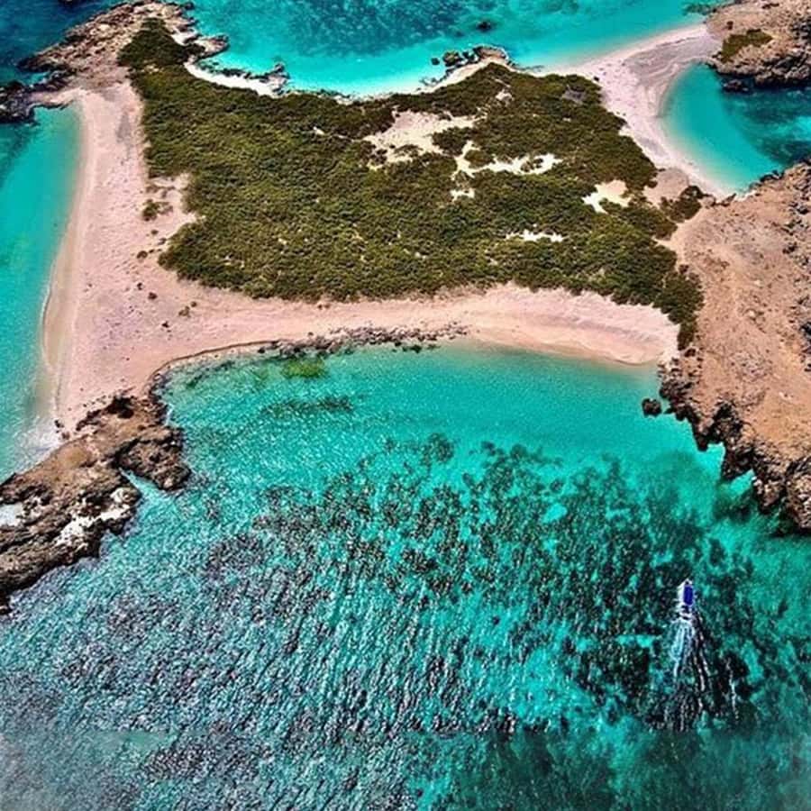 Daymaniyat Islands Snorkeling with Picnic Lunch - Who will enjoy this Daymaniyat outing?