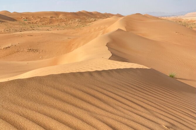 Desert Adventure with Off-Roading and Swimming in Wadi (Private). - Meeting a Bedouin family over coffee and dates