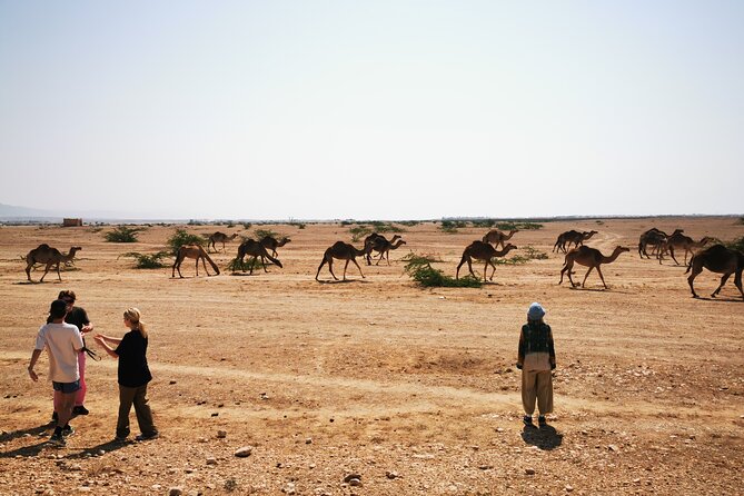 Desert Overnight Tour VisitSalalah - Finding the lost city of Ubar