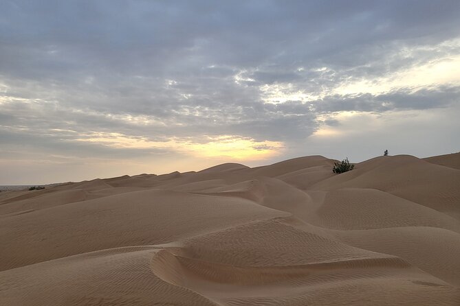 Desert Safari in Empty Quarter with Dune Bashing - Sunset timing needs careful checking