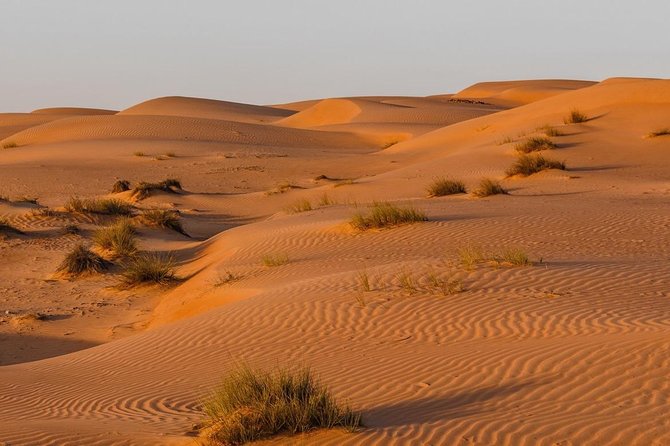 Desert Safari Sharing Tours - An Omani lunch between the two stops