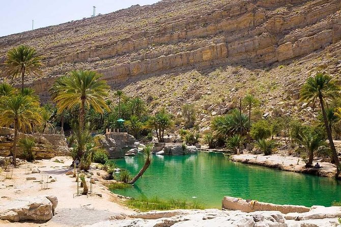 Desert Safari Sharing Tours - Who should book this shared safari?