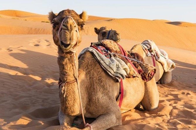 Desert Safari Sharing Tours - Wahiba Sands and the shape of the dunes