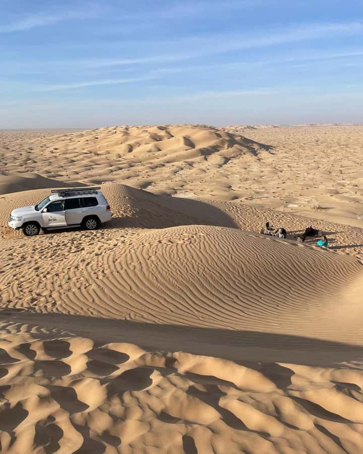 Desert Safari, Sunset & Sand Bashing (Rub Al Khali Desert) - Who should book this experience