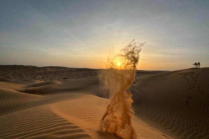 Desert Sunset Tour VisitSalalah - Wadi Dawkha and the trees that shaped Oman