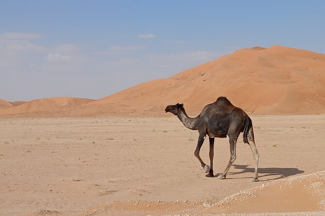 Desert Sunset Tour VisitSalalah - Practical advice before you go