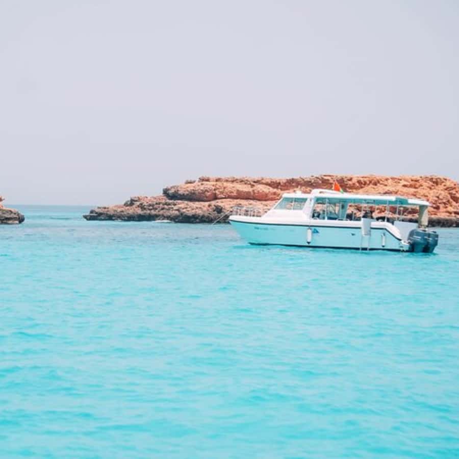 Dimaniyat Island Full Day Tour In Muscat - Twenty minutes of dolphin watching from the marina