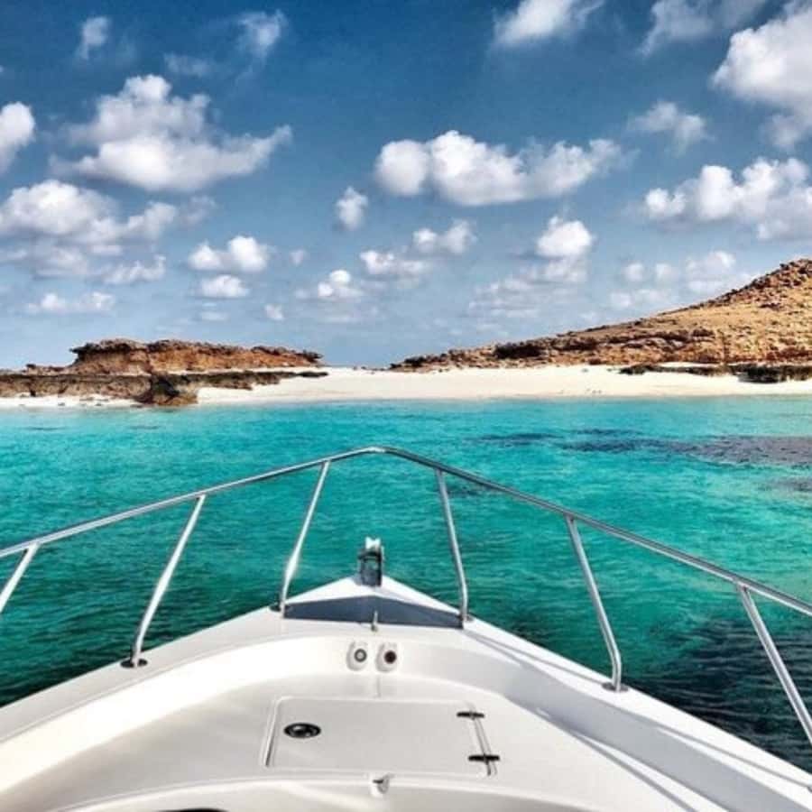 Dimaniyat Island Full Day Tour In Muscat - Three hours of snorkeling around the islands