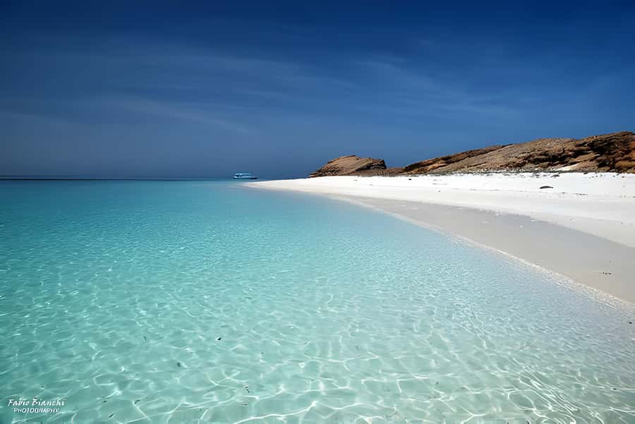 Dimaniyat Island Full Day Tour In Muscat - Starting near Marina Bandar Al Rowdha