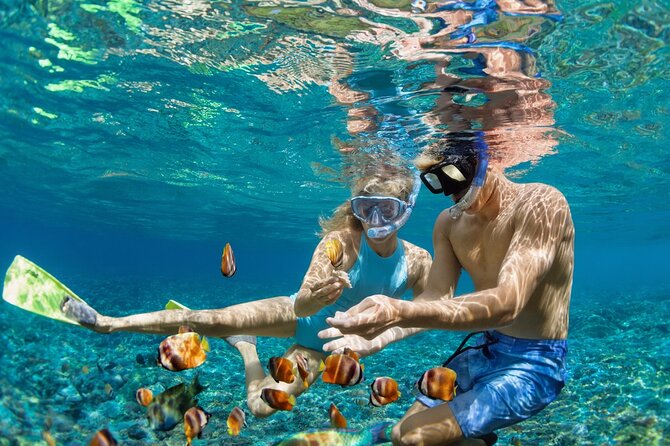 Dimaniyat Island Tour with Snorkeling - Snorkeling over coral and sea life