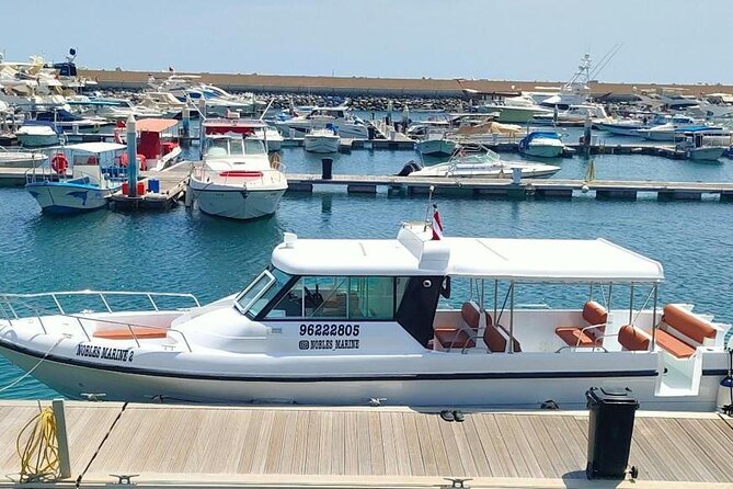Dimaniyat Island Tour with Snorkeling - The beach and island finish