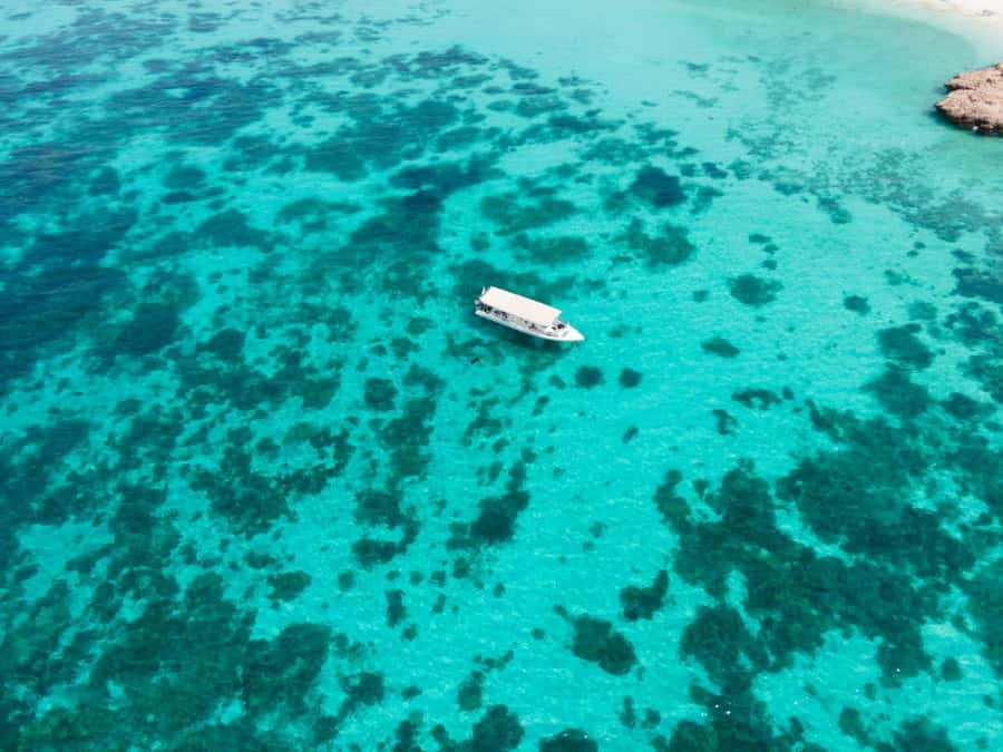 Dimaniyat Islands Scuba Diving Trip - Service quality and the practical feel of the outing