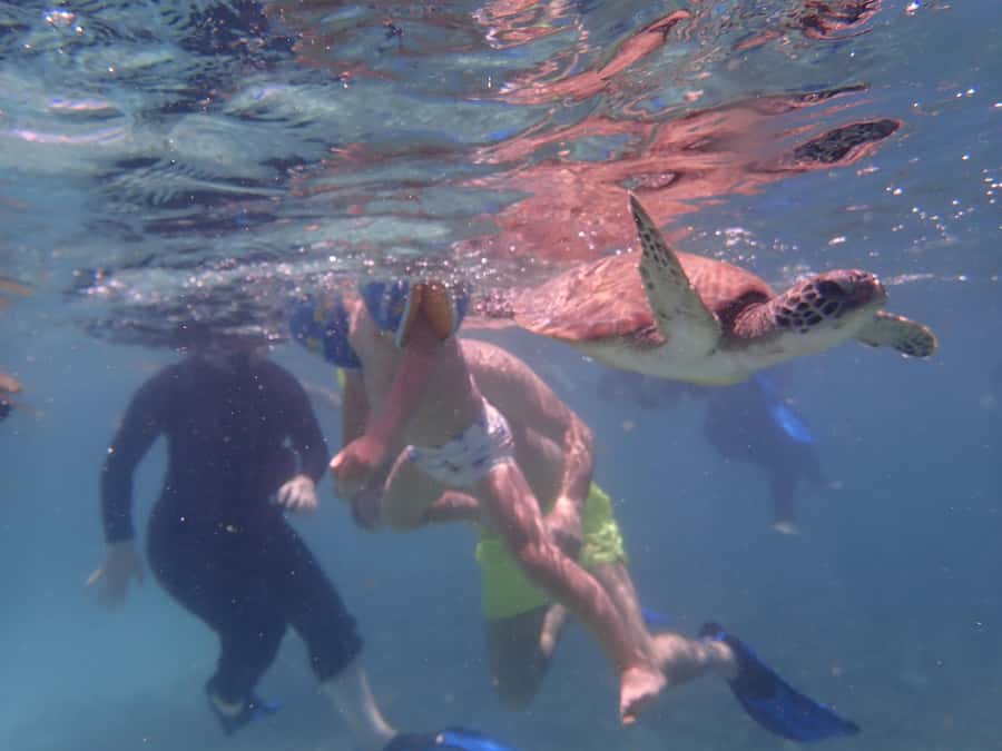 Dimaniyat Islands Snorkeling Trip - Key points to know before booking