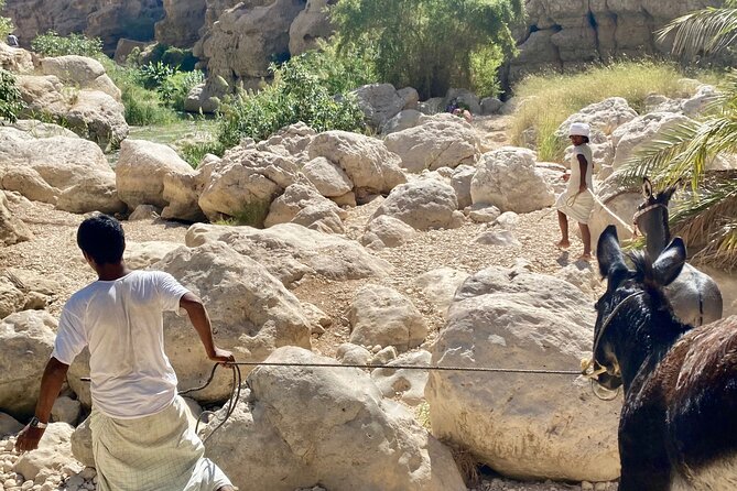 Discover Wadi Shab by a Professional Omani Guide (private). - Lunch in Tiwi, with fish worth considering