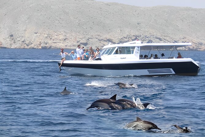 Dolphin Watching and Snorkeling Activity in Muscat - Five things to know before you book