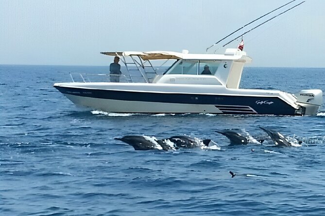 Dolphin Watching and Snorkeling Activity in Muscat - Snacks, drinks, and the practical comfort of a boat trip