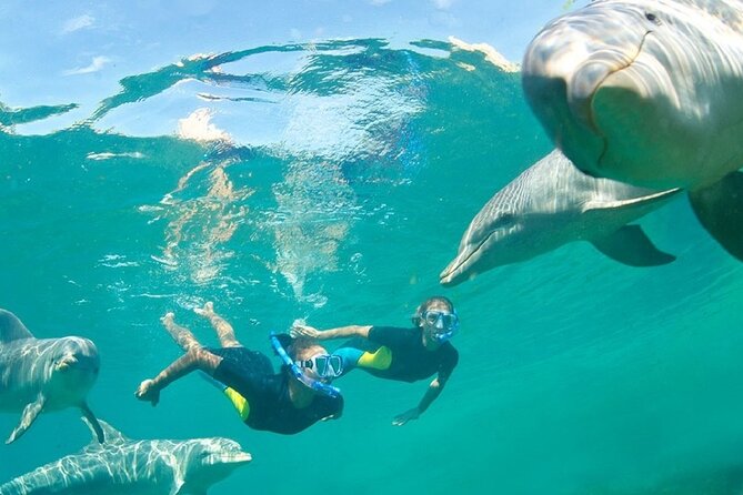 Dolphin Watching and Snorkeling Activity in Muscat - Weather, cancellation, and booking timing