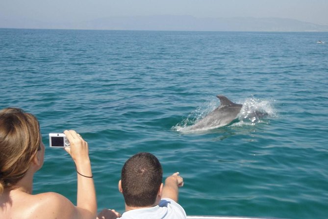 Dolphin Watching and Snorkeling Tour from Muscat - Timing, group size, and comfort