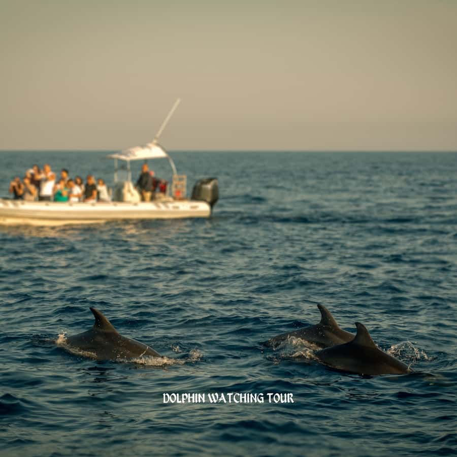 Dolphin Watching and Snorkeling Tour with Hotel Transfers - Muscat’s rugged coastline from the water