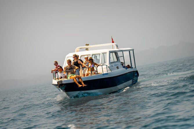 Dolphin Watching in Muscat - Searching the Sea of Oman for dolphins