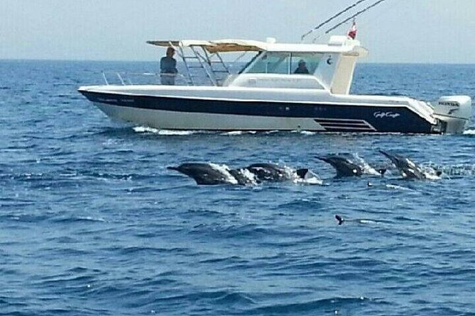 Dolphin Watching in Muscat - What $59 gets you