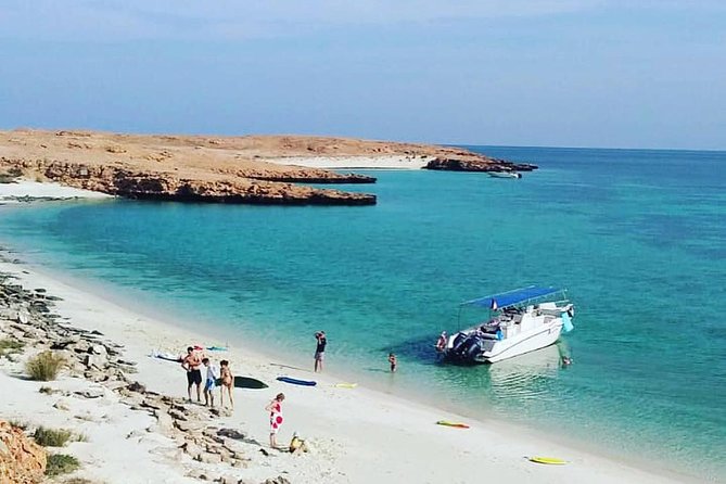 Dolphin Watching & Snorkeling - The essential details at a glance