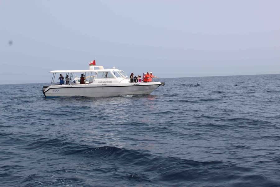 Dolphin Watching Tour - Setting out from Marina Bandar Al Rowdha