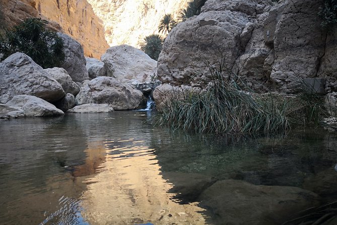 East Coast and Wadi Shab tour - A local lunch stop near Tiwi