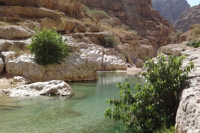 East Coast and Wadi Shab tour - Wadi Tiwi offers a quieter contrast