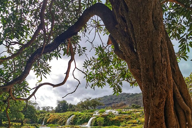 East of Salalah, Mountain Safari, Camels, Waterfall, White beach - Taqah introduces Dhofar’s coastal character