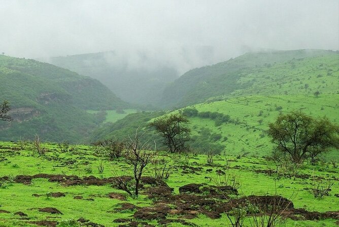 East of Salalah, Mountain Safari, Camels, Waterfall, White beach - Tawi Ateer shows Dhofar’s dramatic side