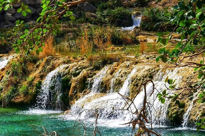 East of Salalah, Mountain Safari, Camels, Waterfall, White beach - Camels and white beach scenery