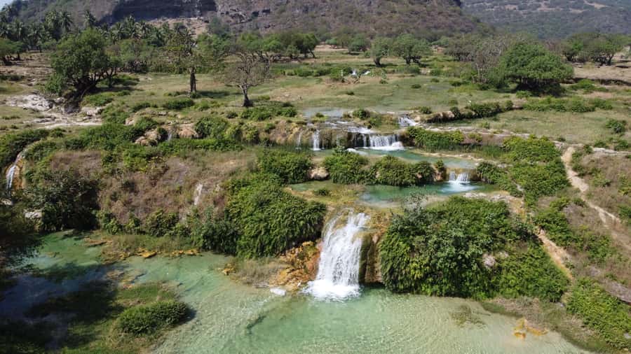 East Salalah Adventure: Nature, History, and Scenic Views - Baobab trees make the countryside feel unfamiliar