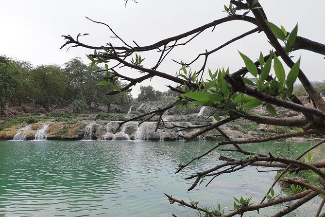 East Salalah Mountain Safari - Wadi Darbat: greenery and waterfalls first