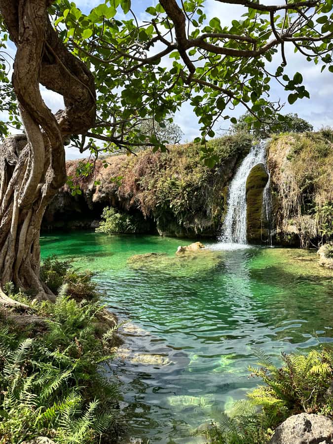 Elite Private Full Day Tour - Salalah Main Attractions - Why this private Salalah tour works well