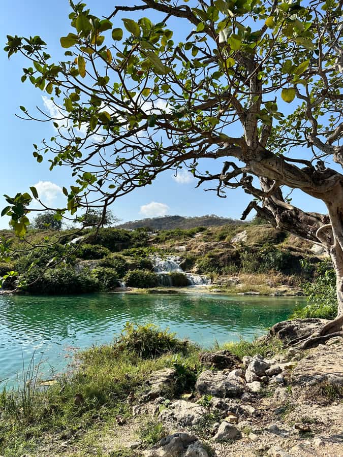 Elite Private Full Day Tour - Salalah Main Attractions - Your guide can shape the whole day